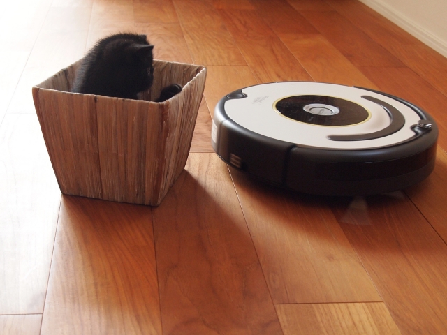 猫がルンバに乗る理由