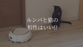 ルンバ　猫