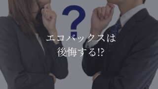 エコバックス　後悔